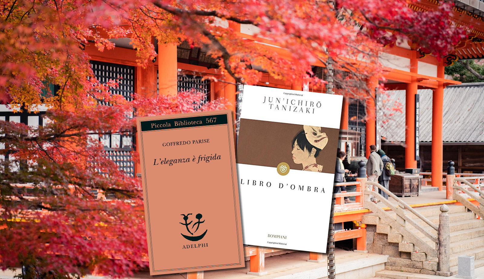 Leggere prima di partire per… il Giappone. “L'eleganza è frigida” e “Libro  d'ombra”