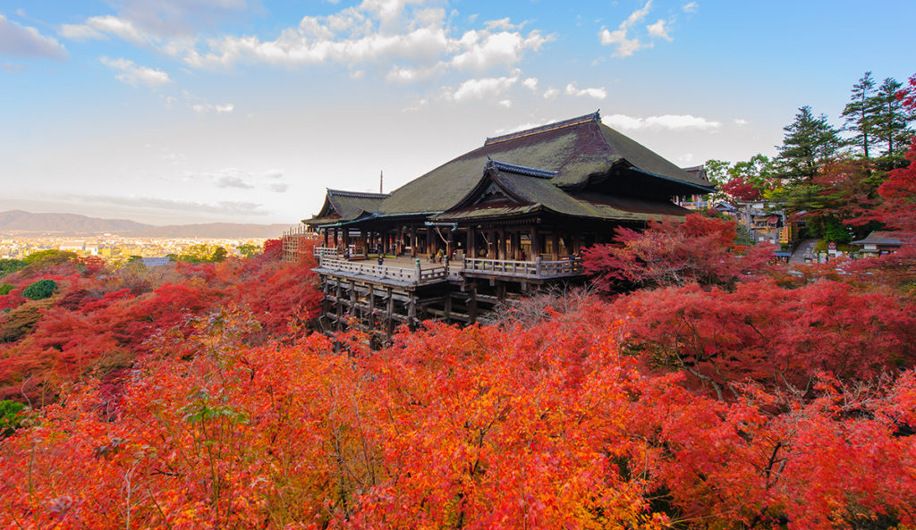 Lo spettacolo del momiji al Kiyomizudera