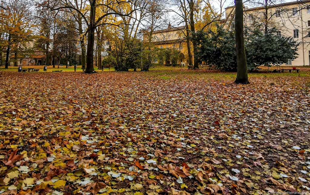 Suolo ricoperto di foglie cadute in autunno, nei giardini di San Paolo, a Parma