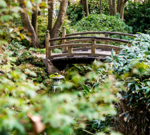 Un ponte di legno in stile giapponese tra la vegetazione nei Lafcadio Hearn Japanese Gardens a Tramore