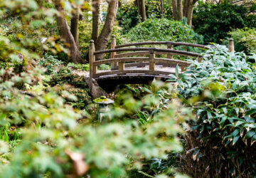 Un ponte di legno in stile giapponese tra la vegetazione nei Lafcadio Hearn Japanese Gardens a Tramore